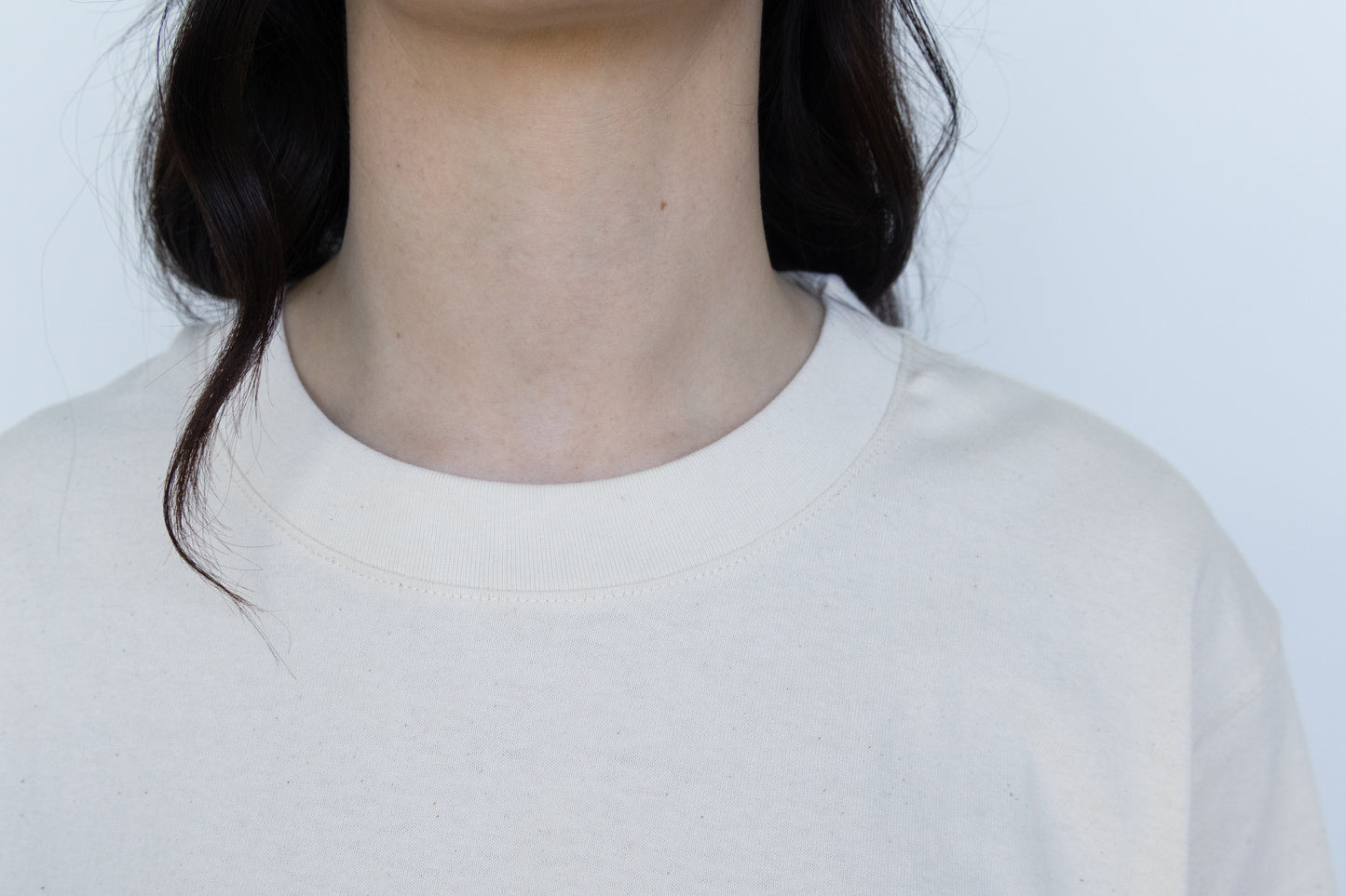 EHFAR Oversized Tee (assorted)