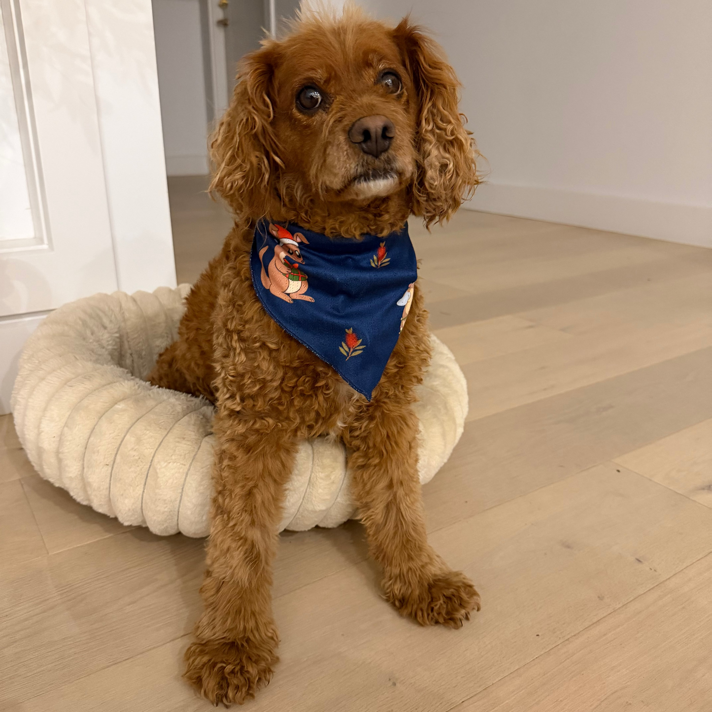 EHFAR Ozmas Pet Bandana